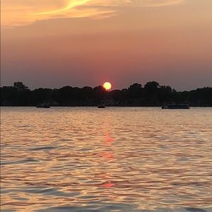 Meet your Posher, Bella